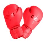Перчатки боксерские Clinch Mist