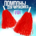 Набор помпонов (2 шт.) гофрированные — изображение 3