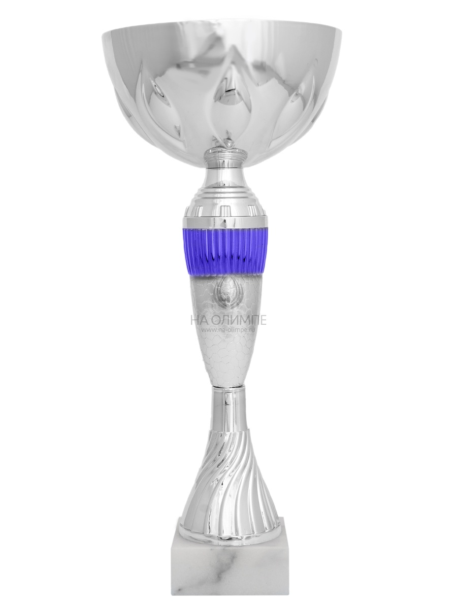 1729 Кубок ВС-1729С — изображение 1
