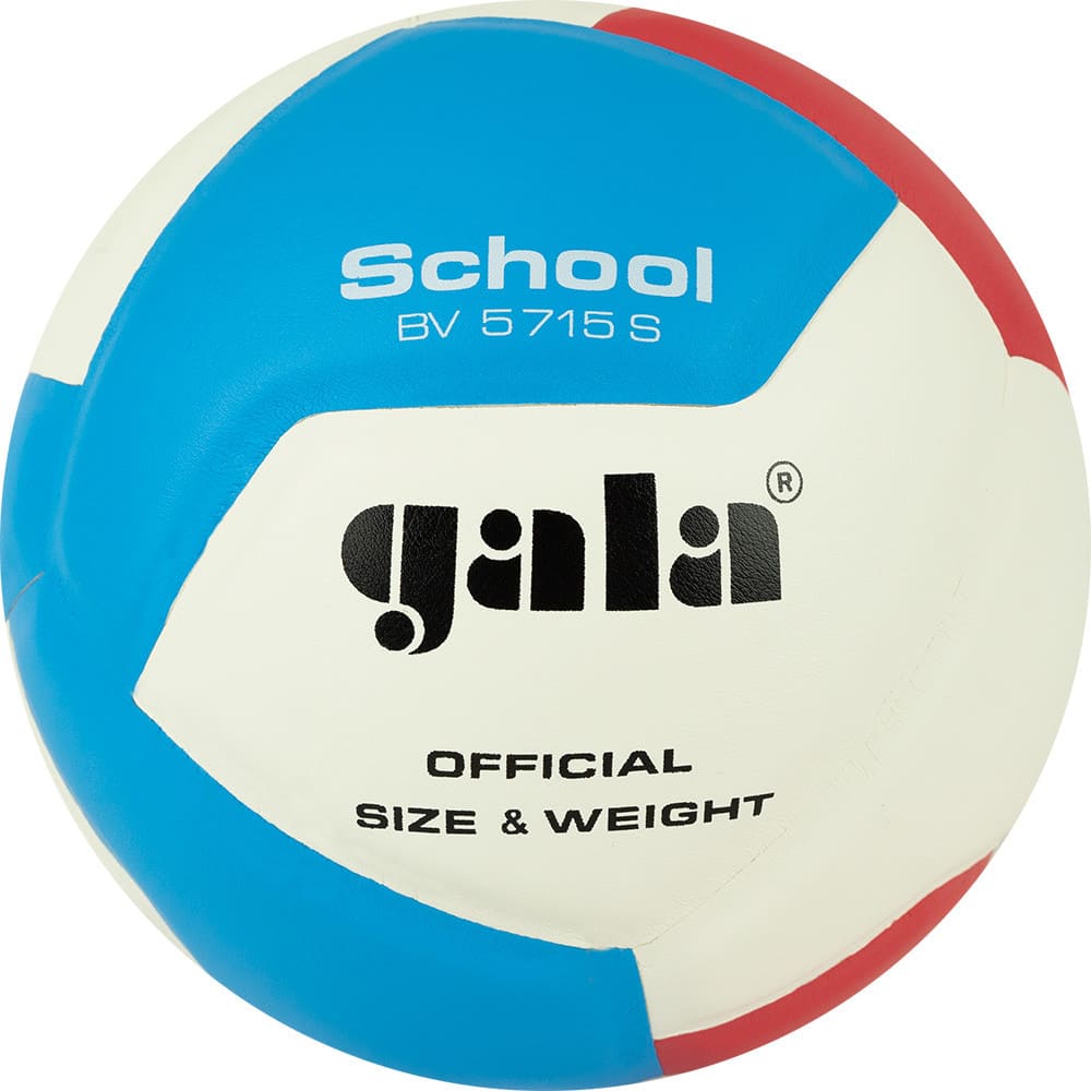 гала (1) Мяч в.б "GALA School 12" р.5 — изображение 1