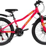 Велосипед 24" ACID Q 450 D (13")